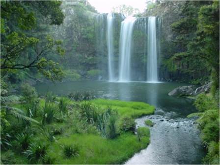 whangaria falls.jpg